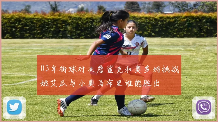 03年街球对决詹鲨克和奥多姆挑战姚艾瓜与小奥马布里谁能胜出