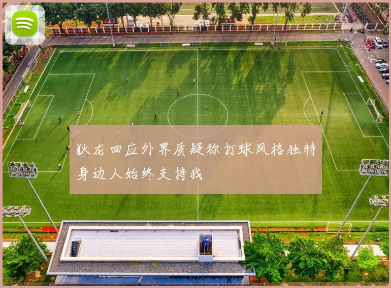 狄龙回应外界质疑称打球风格独特身边人始终支持我