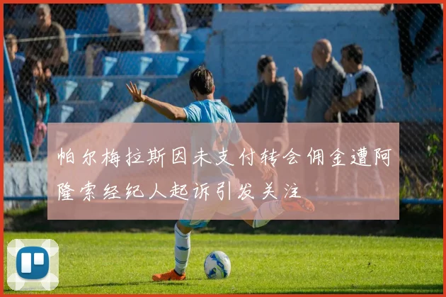 帕尔梅拉斯因未支付转会佣金遭阿隆索经纪人起诉引发关注